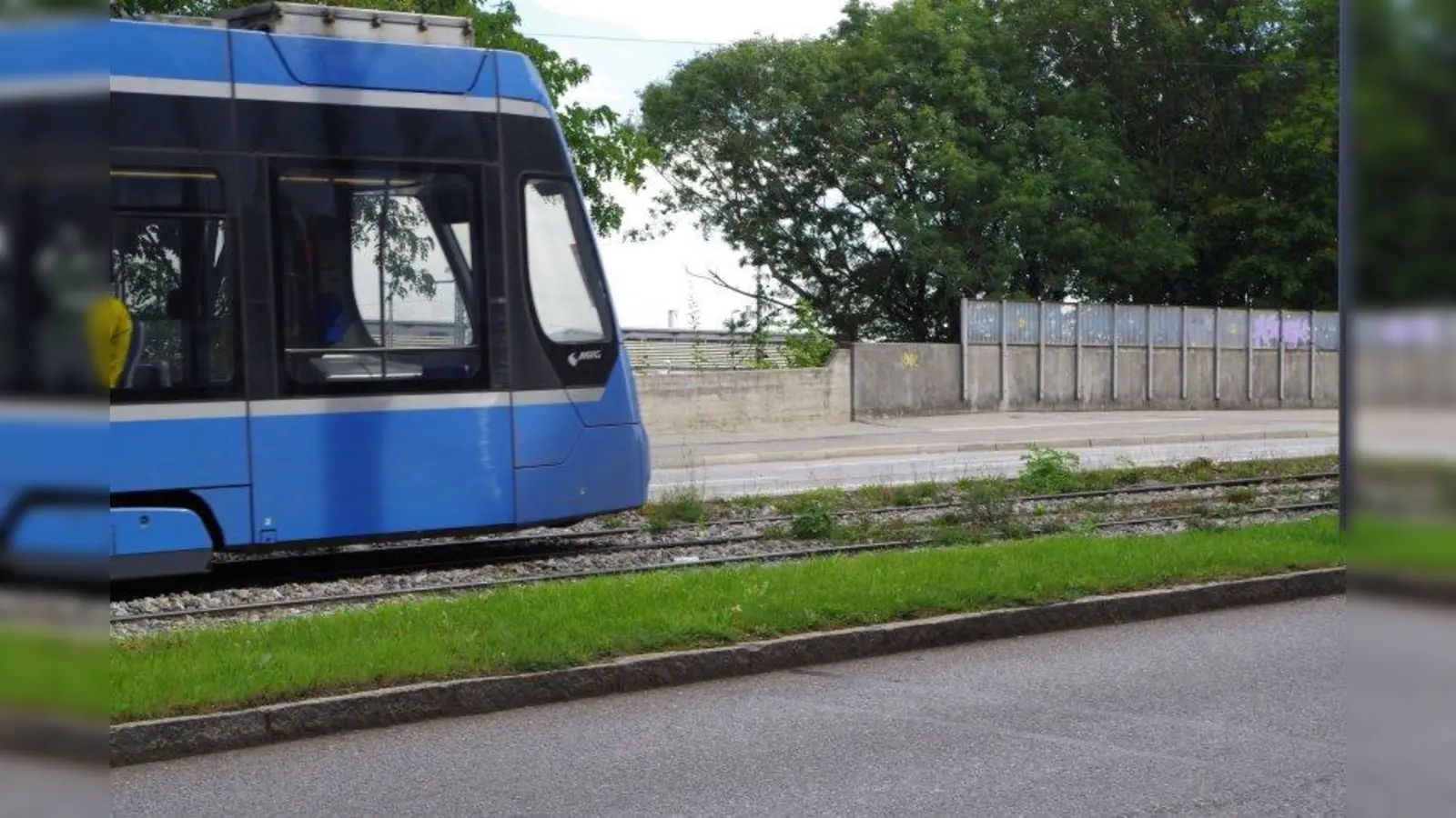Die Grünen im Bezirksausschuss Laim (BA 25) fordern einen Blühstreifen statt eines Gras-Bettes entlang der Tram-Westtangente. (Foto: kö)