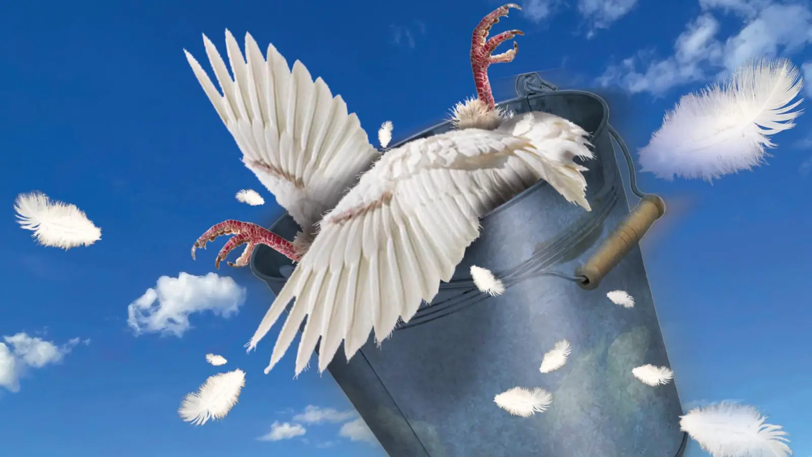 stru (Foto: theater VIEL LÄRM UM NICHTS)