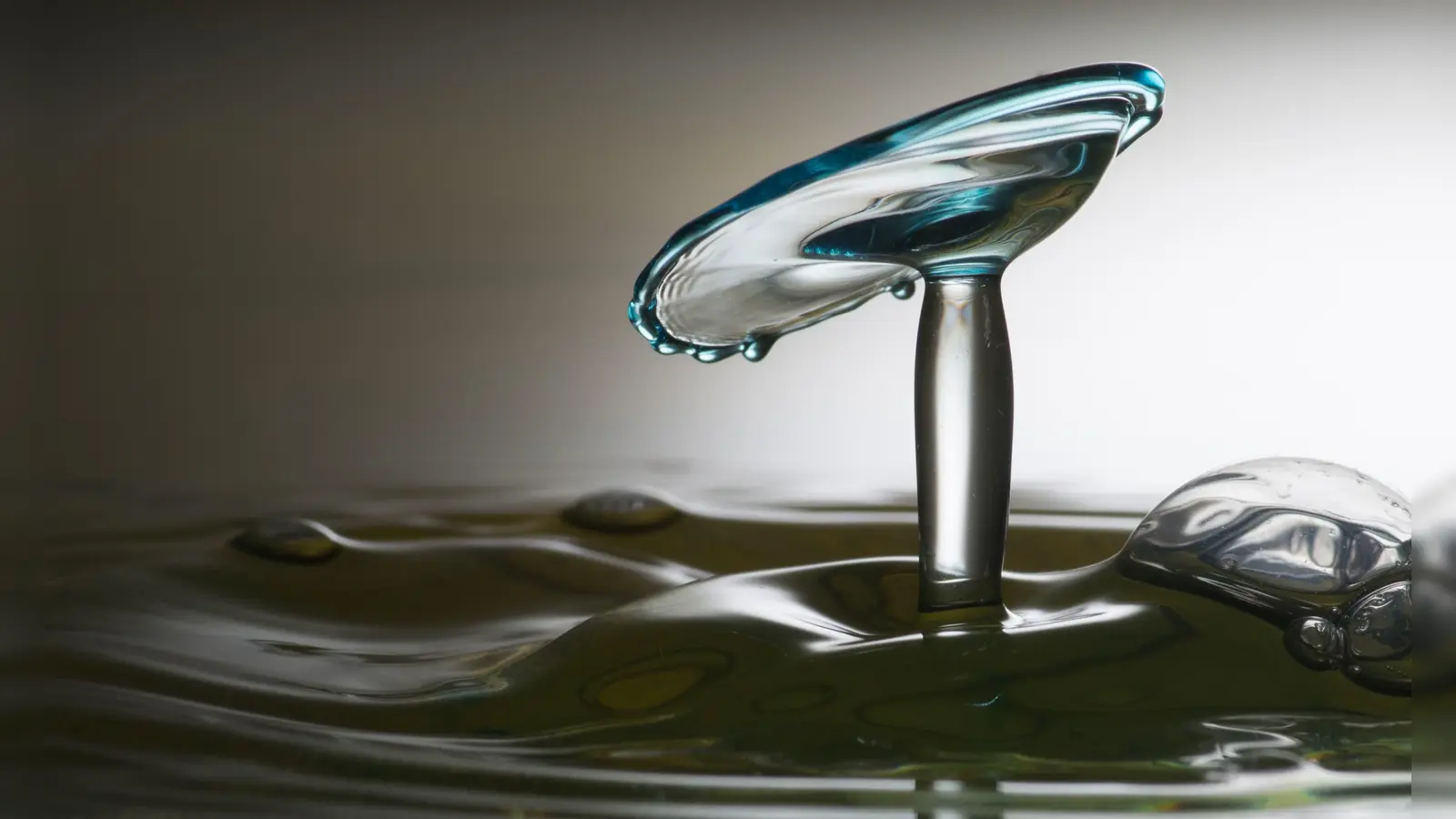 Dr. Christoph Habarta zeigt Bilder unter dem Motto: „Fremde Welten in der Tasse“. (Foto: Dr. Christoph Habarta)