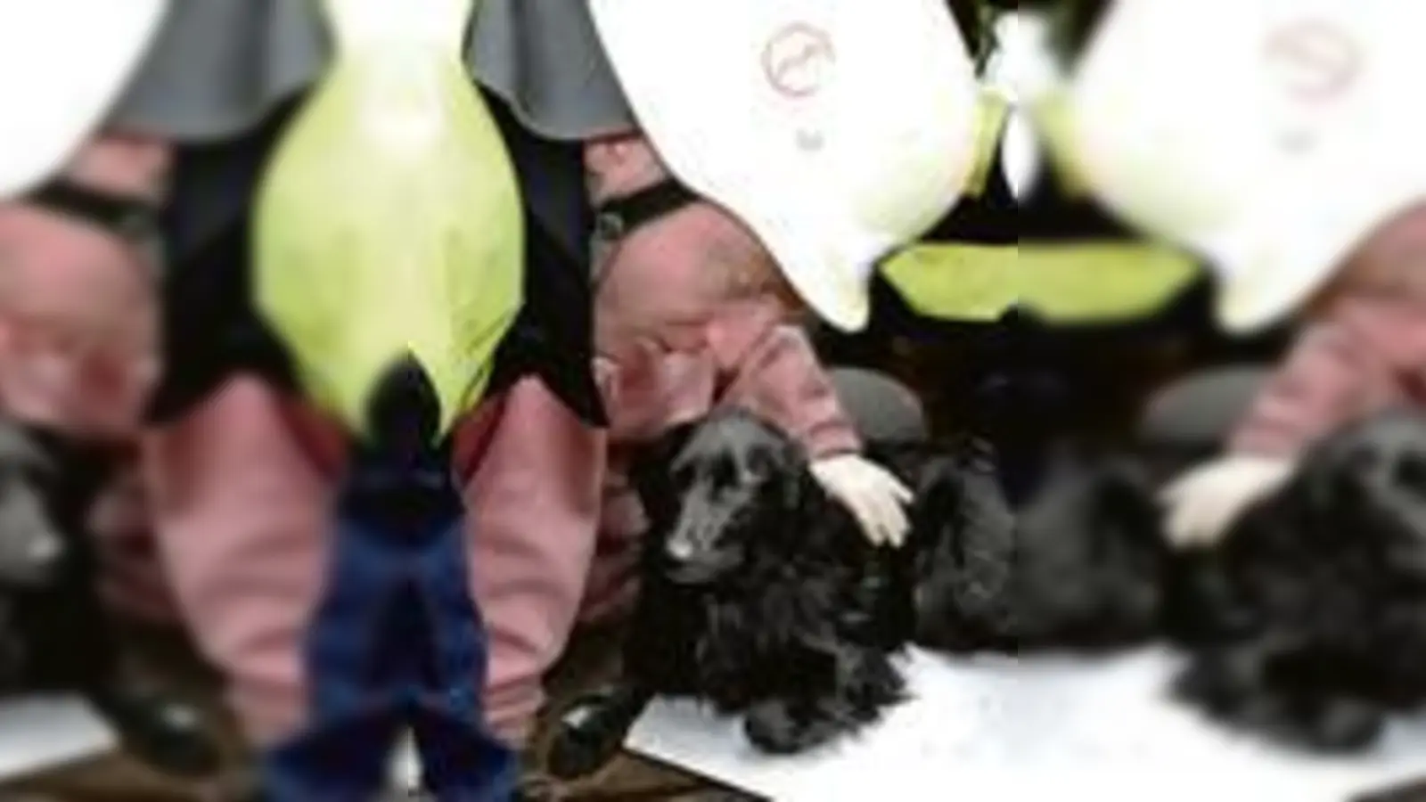 »Tessi« konnte befreit werden.	 (Foto: Feuerwehr)