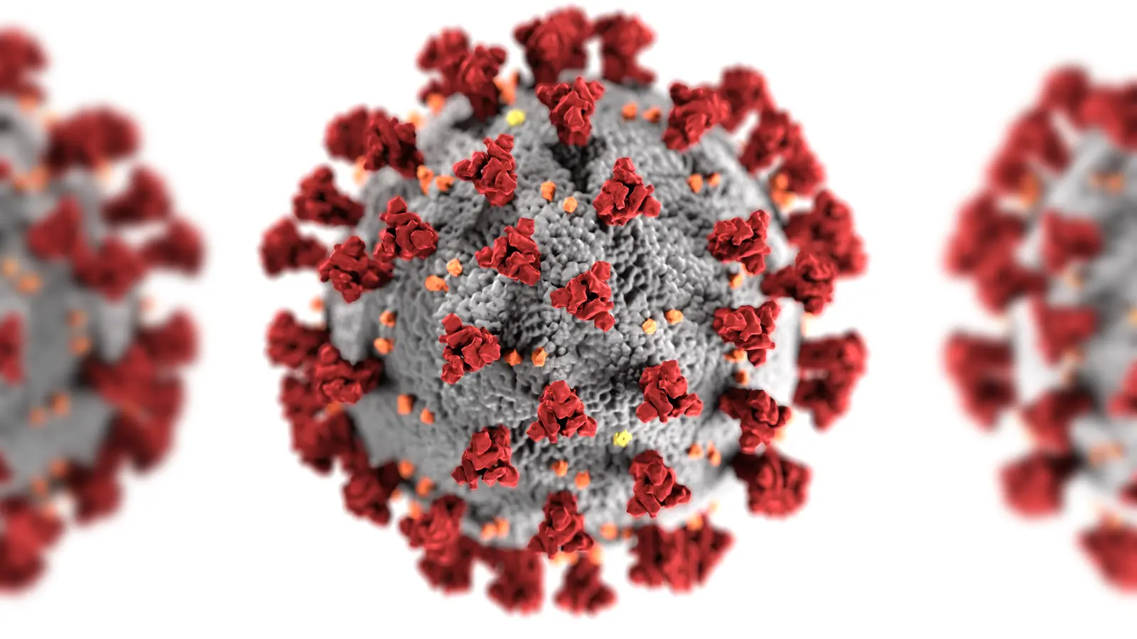 Das Coronavirus hat im Landkreis München bisher 84 Menschenleben gekostet (Stand: 22.06.2020). (Foto: gemeinfrei)