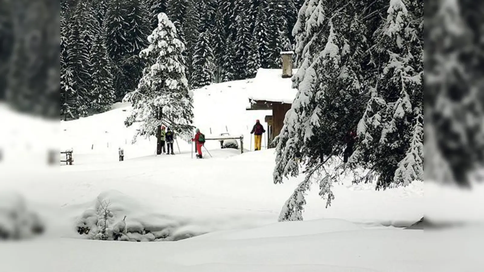 Schneeschuhwandern  wie hier im Längental  gilt als  Naturerlebnis in seiner reinsten Form.	 (Foto: Verein)