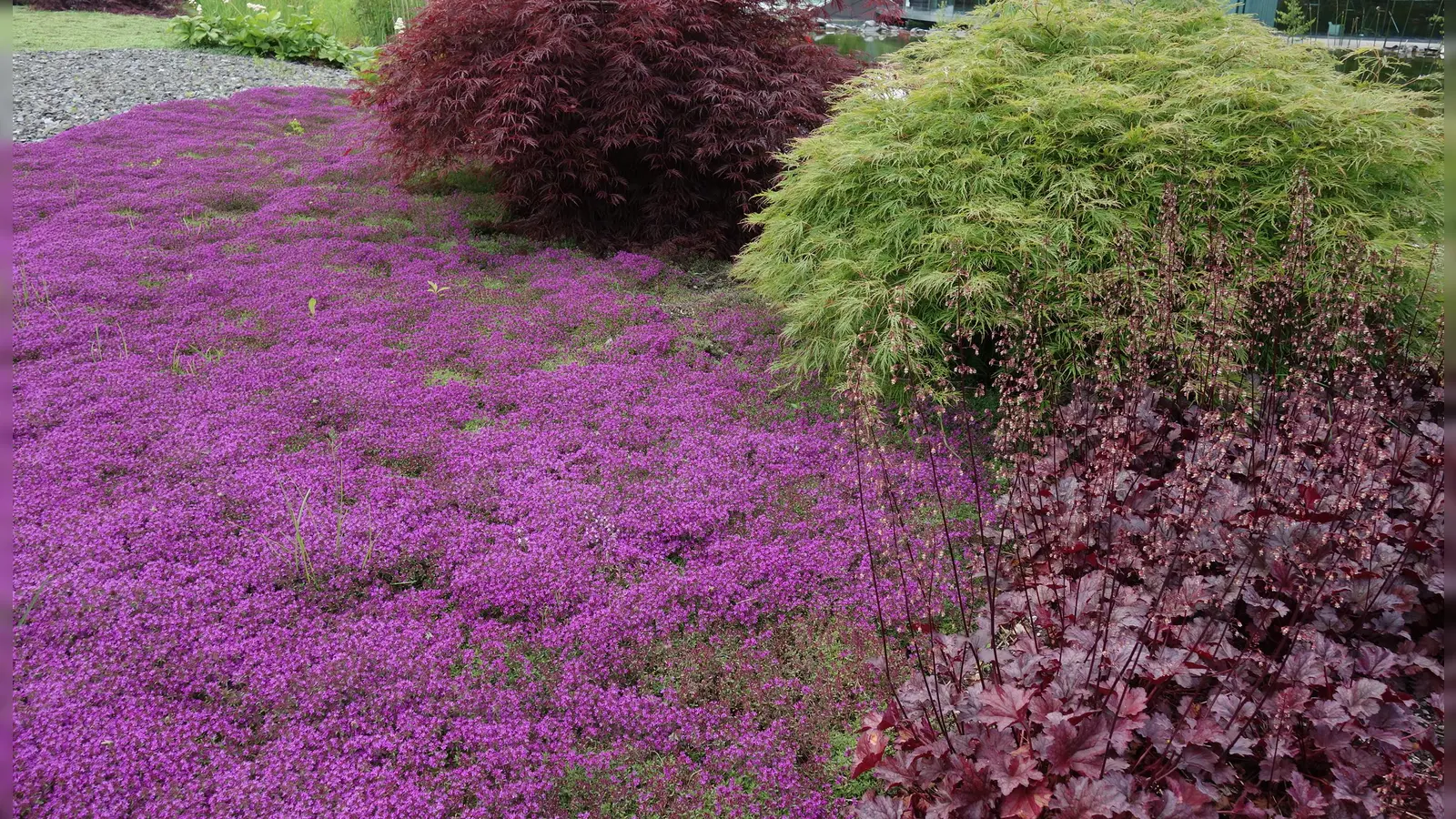 Besondere Gärten und ihre Gärtner kann man am Tag der offenen Gartentür besuchen.  (F: hw)