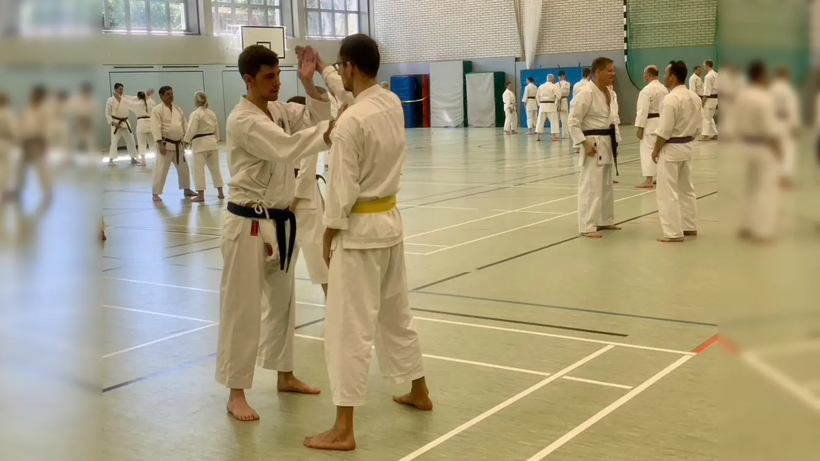 Der große Karatelehrgang des TSV Grünwald zog über 100 Interessierte an. (Foto: Peter Henkel)