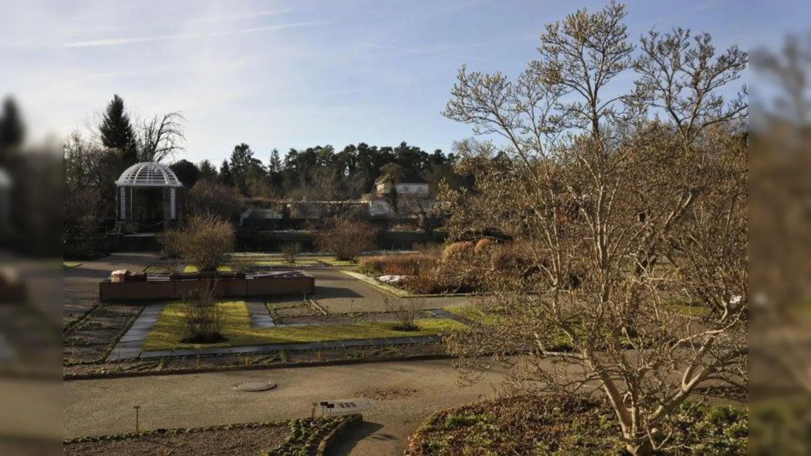 Im Botanischen Garten erfahren Interessierte, wie Sträucher und Bäume richtig geschnitten werden. (Foto: Franz Höck, Botanischer Garten München-Nymphenburg)