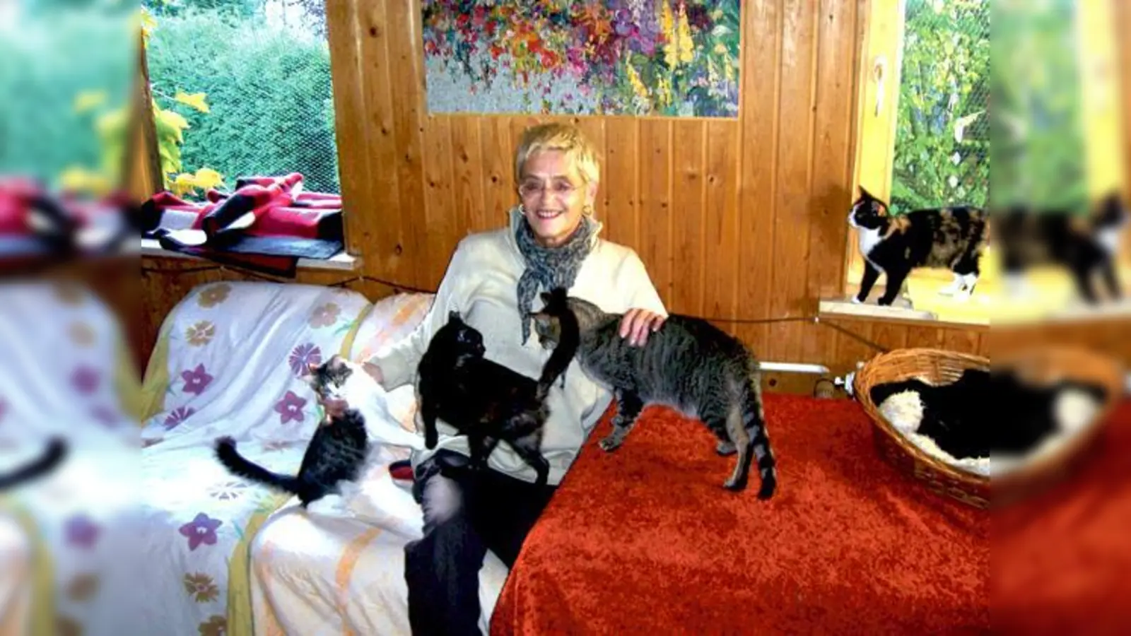 Noch warten neugierige Katzenkinder auf ein neues Zuhause, doch Helga Grüning von »Tiere in Not e.V. versucht für jeden eine Bleibe zu finden.	 (Foto: sd)