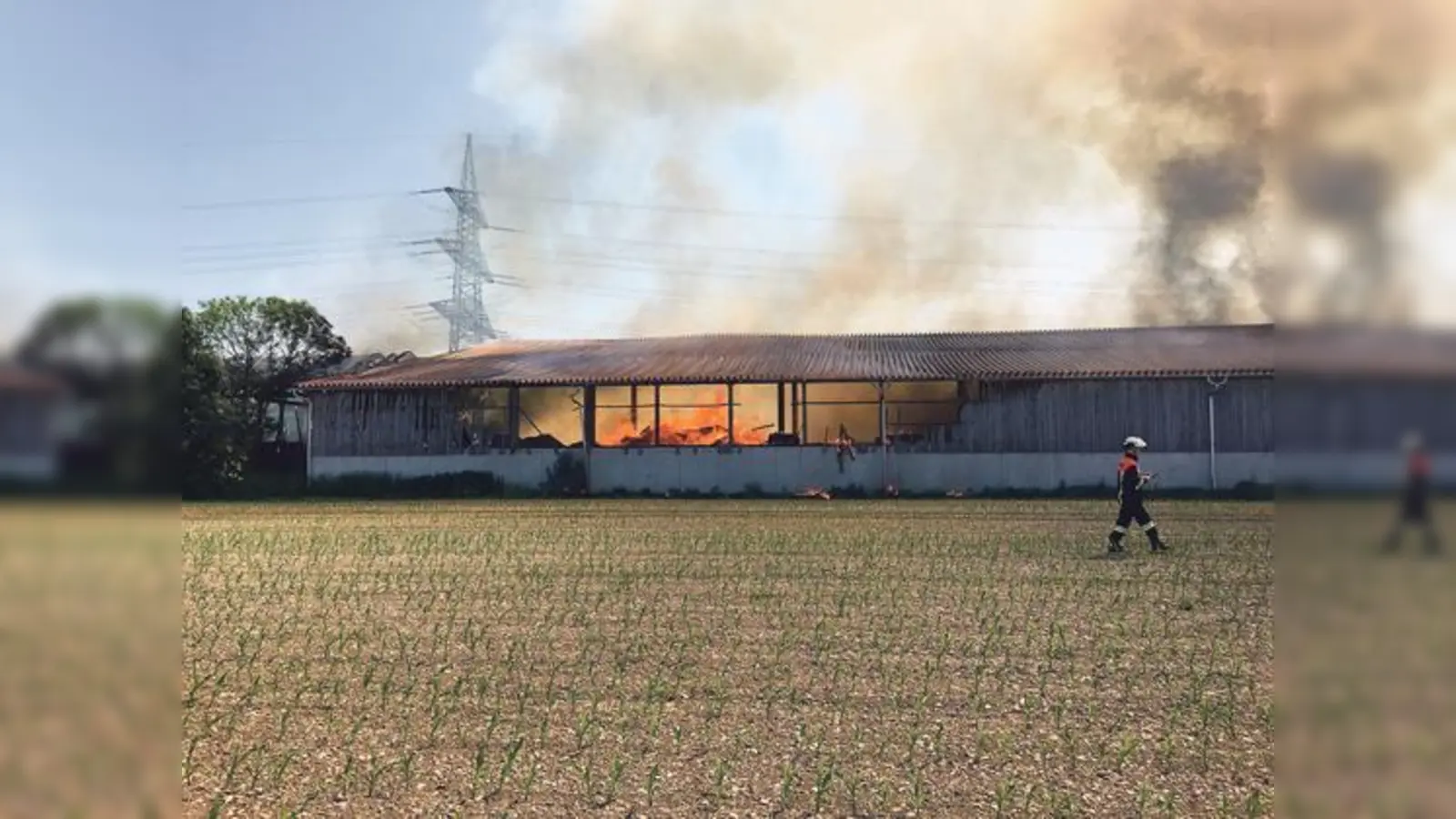 Der Vollbrand der Kompostieranlage in Hergolding am 30. Mai 2017 zählte zu den Einsatzhöhepunkten.	  (Foto: FFW)