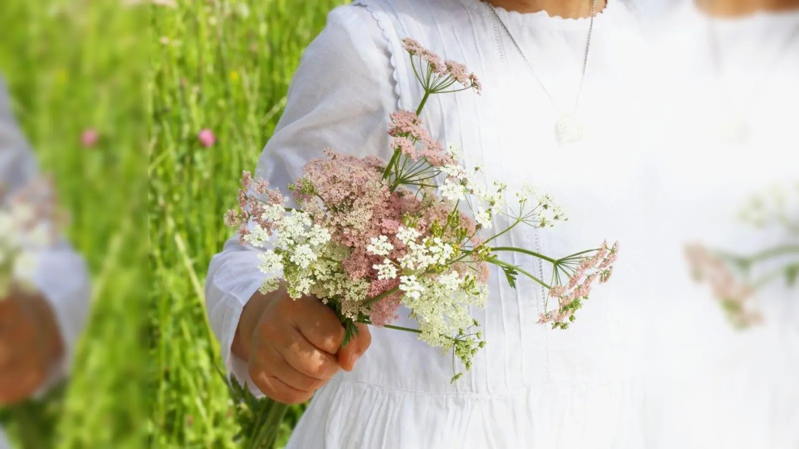 Zu „Mariä Himmelfahrt“ werden Kräuterbuschen geweiht. Unter anderem wird Schafgarbe in den Strauß gebunden. (Foto: Helene Souza_pixelio_de)