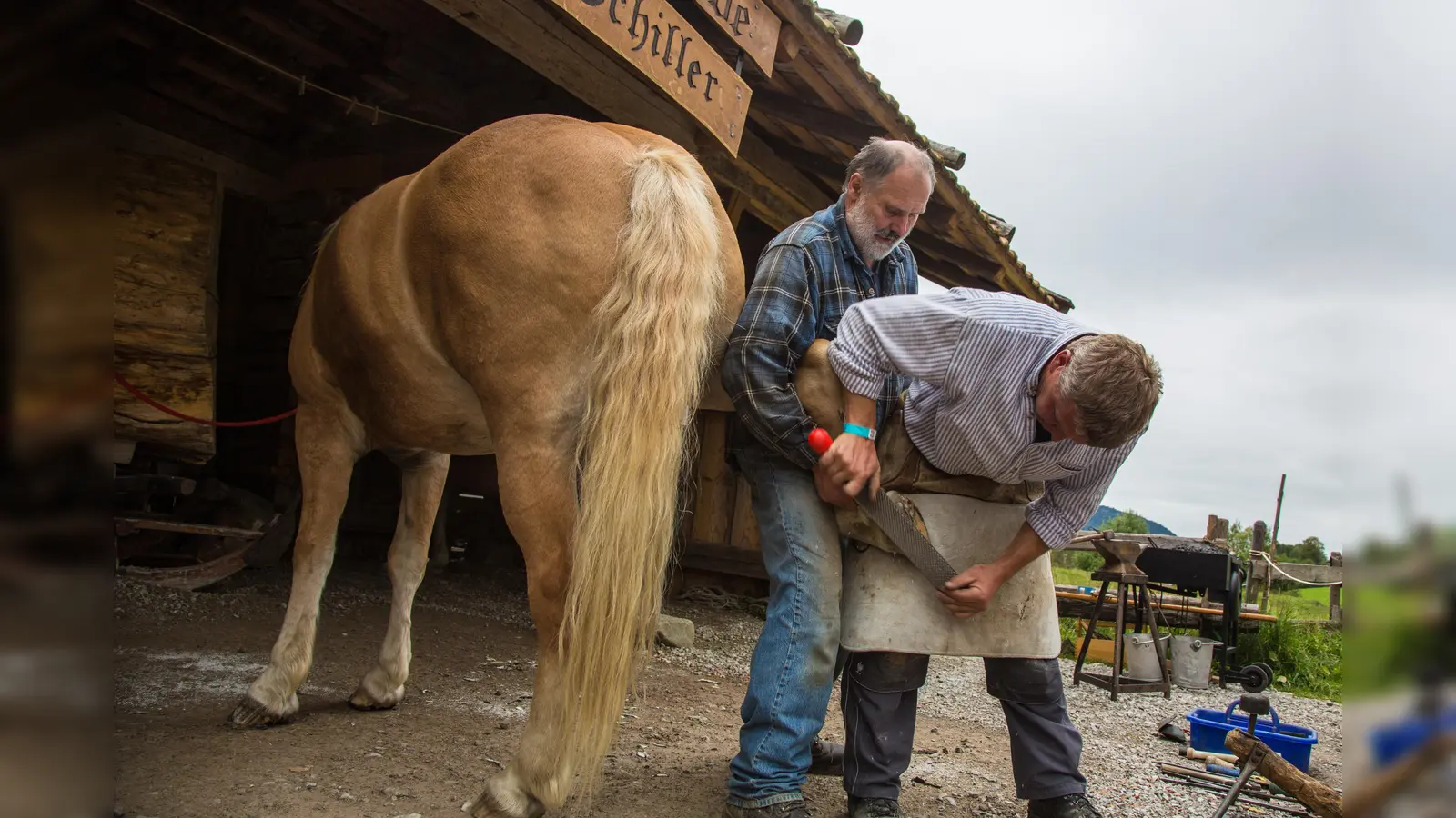 Hufeisen erweiterten den Tätigkeitsbereich des Schmiedes. (Foto: Markus Wasmeier)