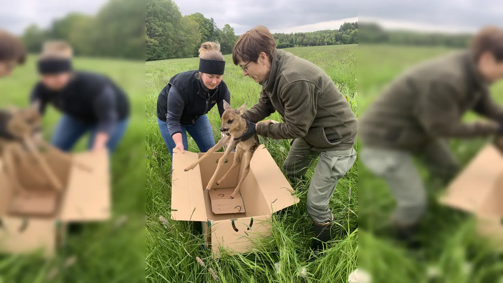 Landwirtin Lisa Gassner und Jägerin Astrid Brenninger bei der Kitzrettung. (Foto: Landesjagdverband)