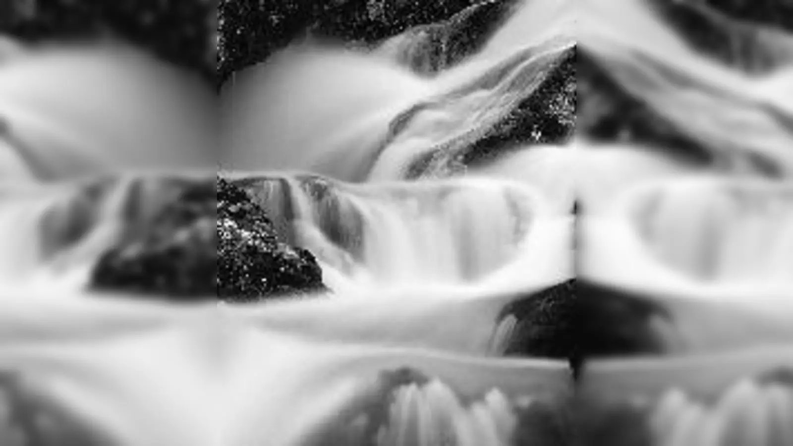 In Markus Mitterers Fotografien sieht Natur etwas anders aus als man gewohnt ist.	 (Foto: VA)