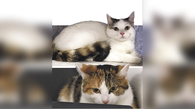 Lele und Lydia. (Foto: Tierheim Riem)