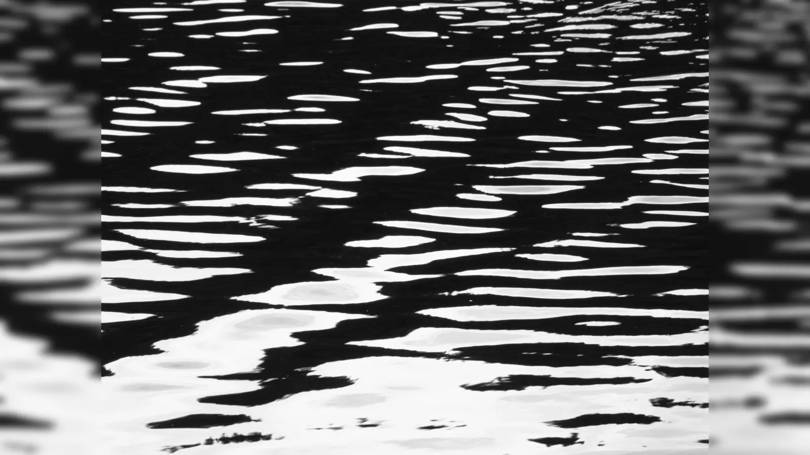 Bayerischer Wald, Juli 2023 (Foto: Reinhard Mohr)