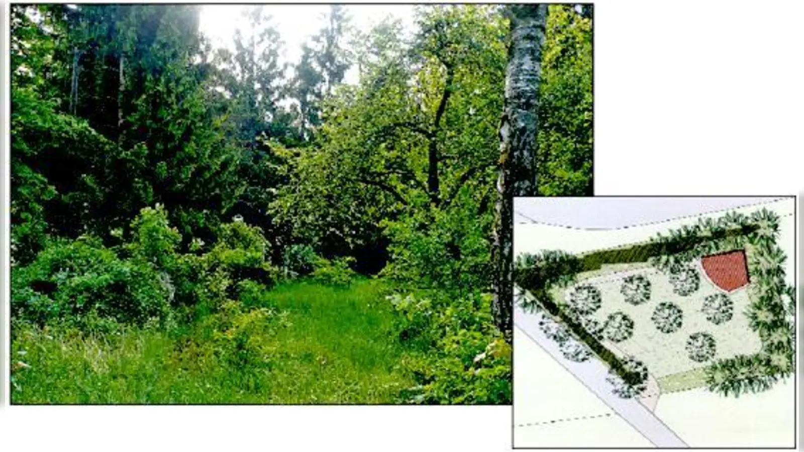 Das Grundstück Am Hanselbrunnen soll künftig Trauernden ein Ort der Ruhe sein.	 (Foto: Büro Prof. Kagerer/Wrulich)