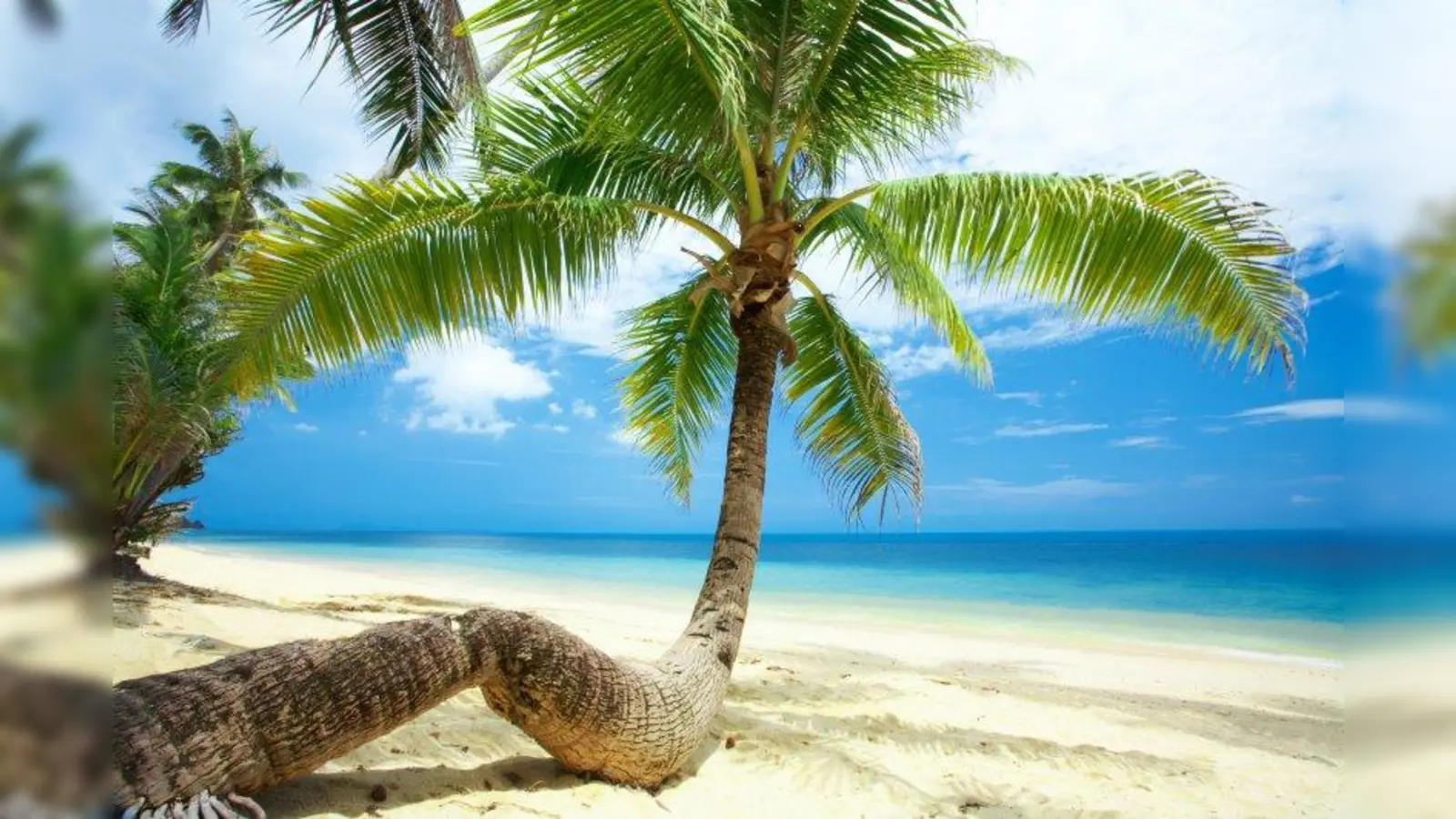 Egal, ob Palmen, Städtereise, Campertour oder vieles mehr: Die ADAC Reisebüros machen Urlaubsträume wahr. (Foto: Foto: fotolia.com – Dmitry Ersler)