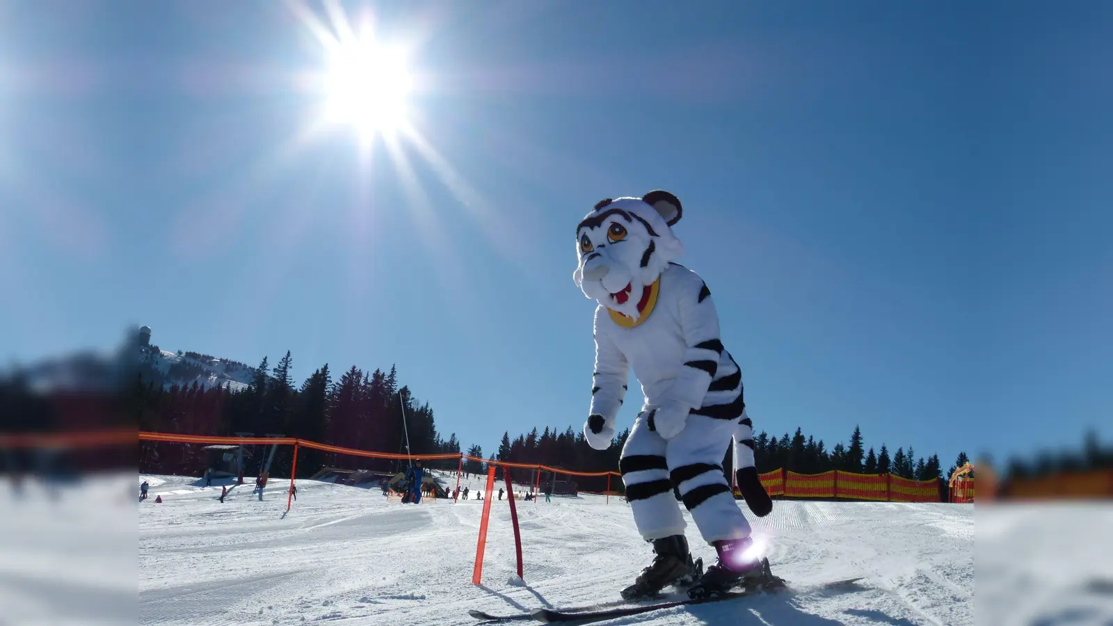 Das DSV-Maskottchen Skitty steht natürlich wie immer für Selfies für große und kleine Teilnehmer bereit und wird sich sicher auch mal auf Ski zeigen... (Foto: DSV Safety Days)