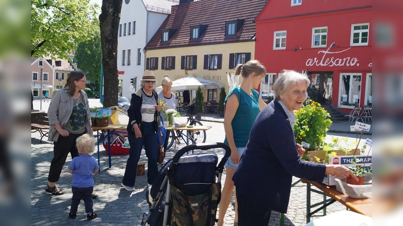 Am kommenden Samstag erstrahlt ein Blumenmeer mitten auf dem Ebersberger Marienplatz (Foto: VA)