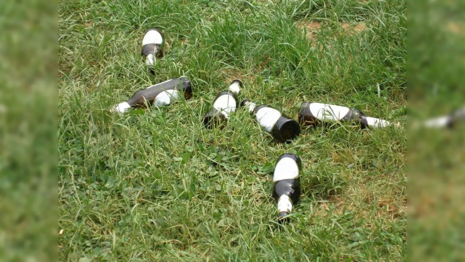 Kürzlich beklagte eine Laimer Bürgerin, dass die Grünanlage in der Valpichlerstraße regelmäßig verschmutzt sei und jüngst zerbrochene Bierflaschen herumlagen. (Foto: Claudia Hautumm_pixelio.de)