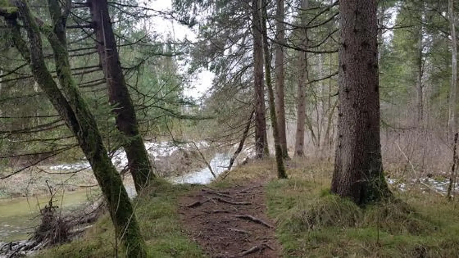 München · Auf wilden Pfaden der Isar entlang (Foto: red)