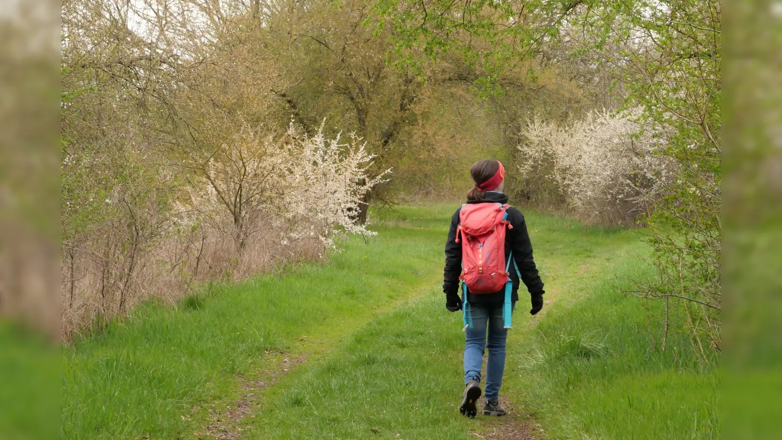 Um sich in der Natur zurechtzufinden, gibt es jetzt eine verlässliche App vom Bayerischen Staatsministerium für Umwelt und Verbraucherschutz.  (Foto: © Ulrich Müller, StMUV)