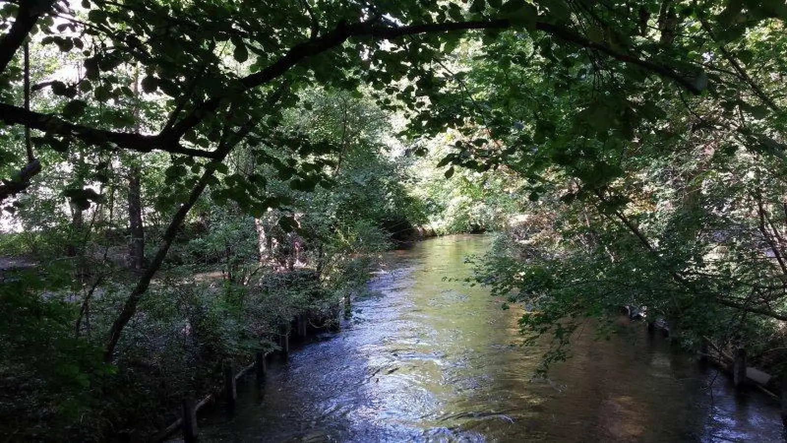 Pasinger Stadtpark - das sind Auwaldlandschaft, Spielplätze, Radlwege und Erholungsfläche mitten in der Stadt. (Foto: eis)