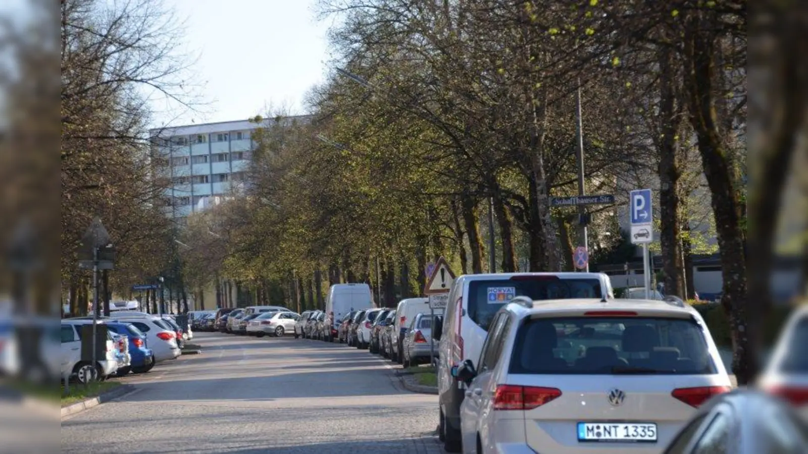 Die Forstenrieder Allee: Der Bezirksausschuss im Münchner Süden schlägt der Landeshauptstadt vor, den Baumbestand unter Naturdenkmalschutz zu stellen. (Foto: Hans Jürgen Gerhards)