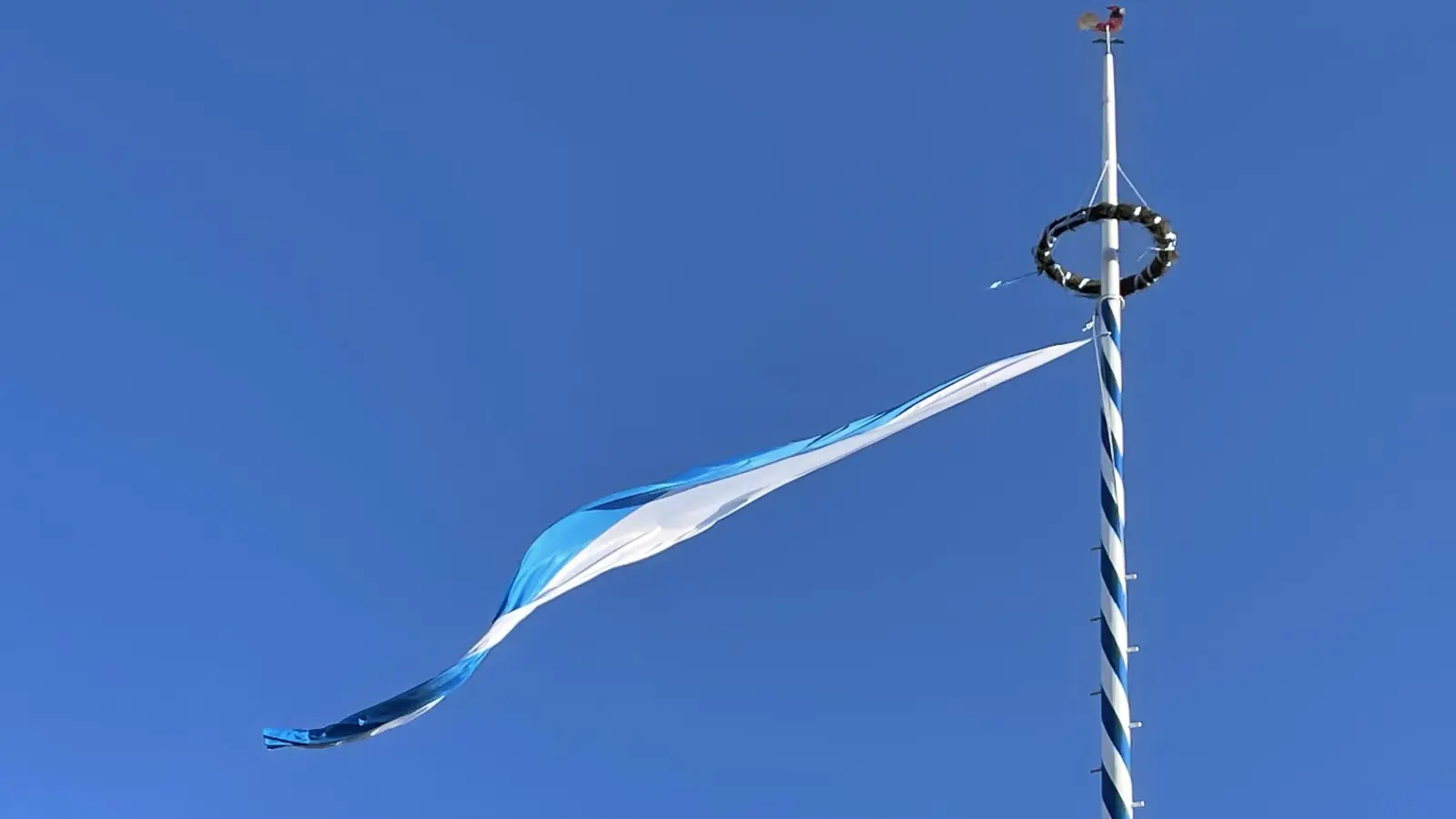Damit ab dem 1. Mai auch in Oberhaching-Furth wieder ein Maibaum steht, müssen die Burschen den Baum noch gut bewachen. (Foto: hw)