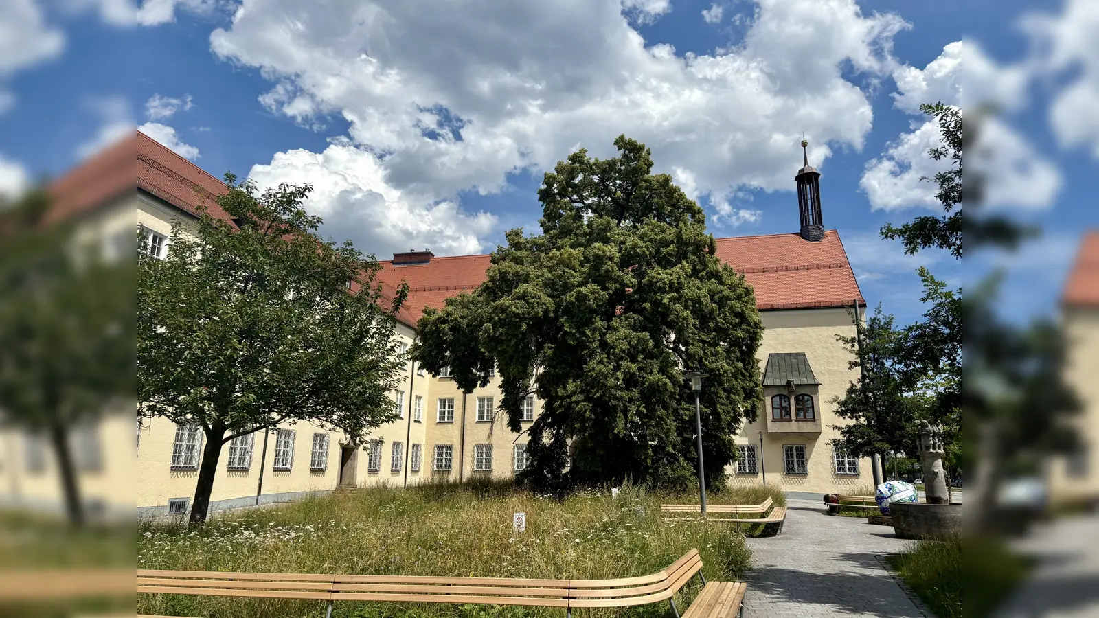 Bitte dringend mähen: Bürger beschweren sich über die ungepflegte Wiese vorm Rathaus Pasing. (Foto: Ulrike Seiffert)