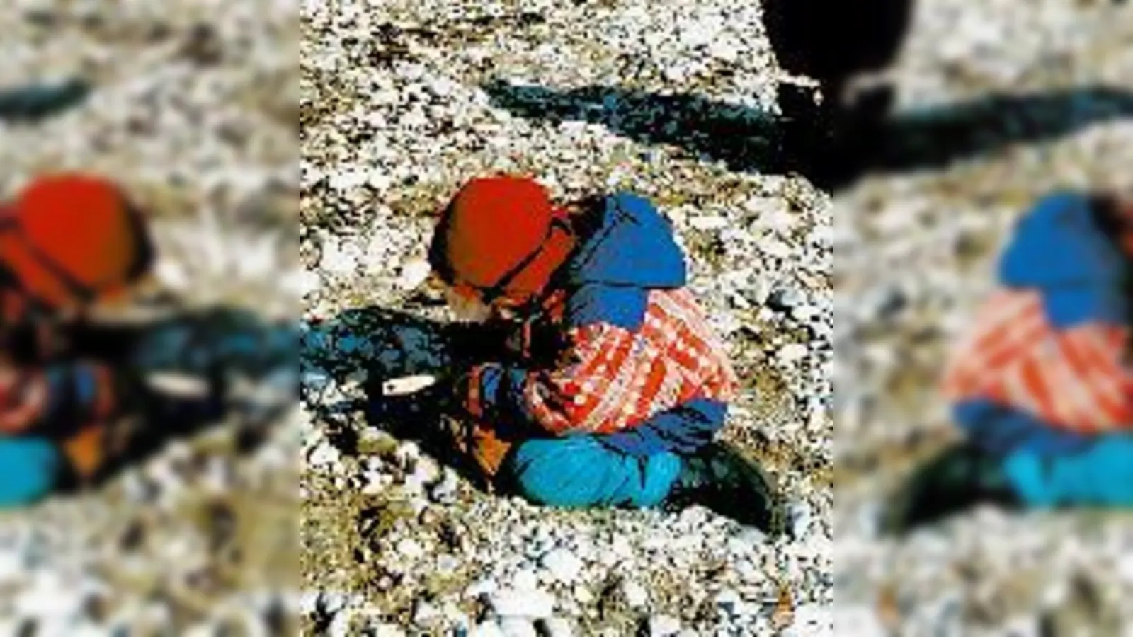 Auf der Suche nach verborgenen Schätzen.	 (Foto: DAV)