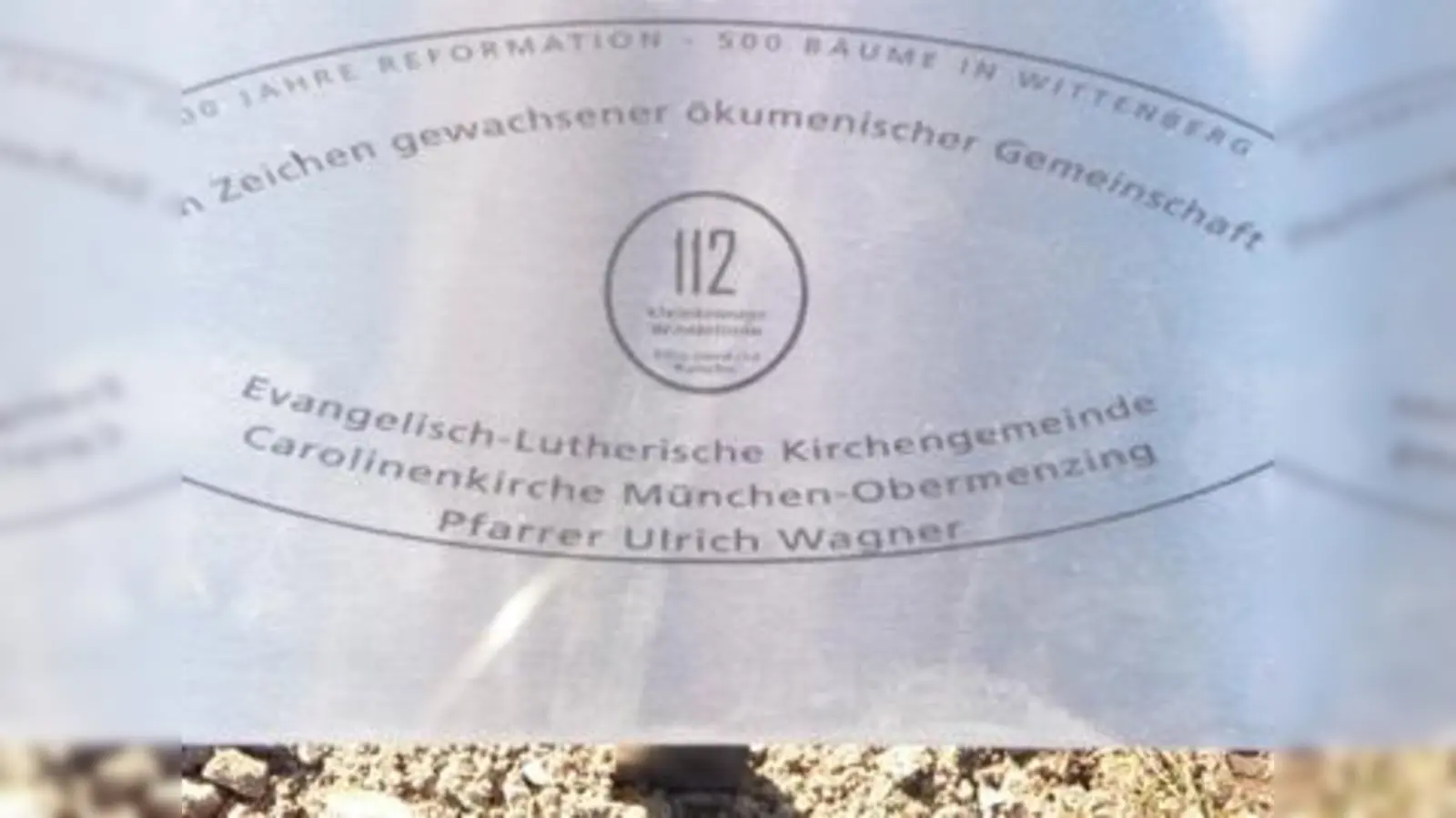 Hinweistafel vor Baum 112, der von der Carolinenkirche Obermenzing in Wittenberg gepflanzt wurde. (Foto: pi)