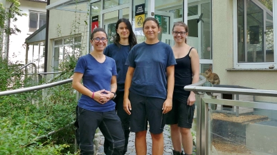 Das Team kümmert sich liebevoll um die Schützlinge im Nagerhaus. (Foto: Tierschutzverein München e.V.)