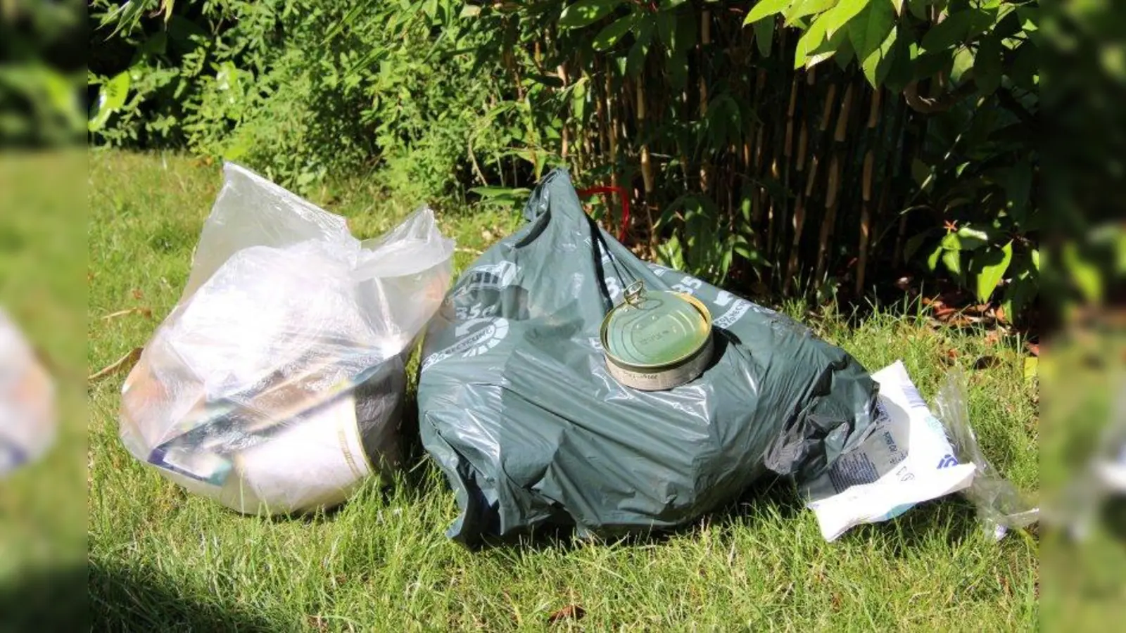 Umweltverschmutzung: Dass Müll in die Natur entsorgt wird, nehme immer mehr zu. (Foto: sb)
