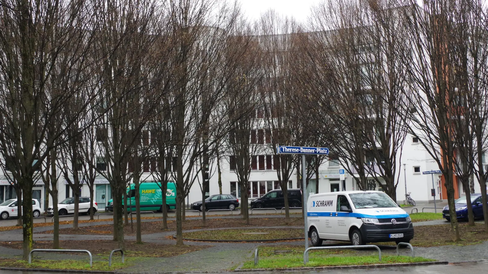 Die Bäume am Therese-Danner-Platz sollen gepflegt oder, falls dies nicht mehr gut möglich ist, ersetzt werden, so der Vorschlag der FDP im Bezirksausschuss. (Foto: Beatrix Köber)