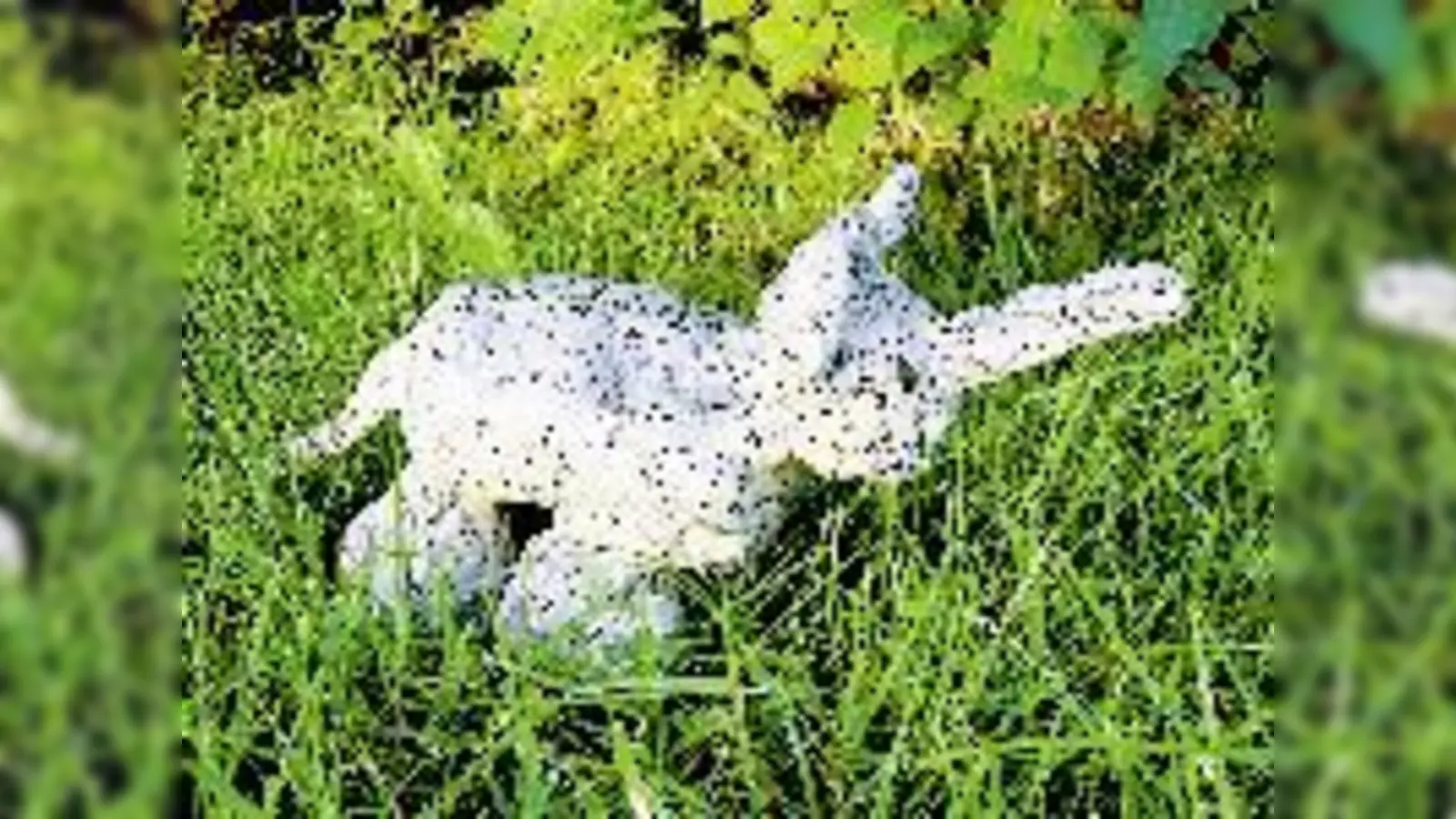 Töpfern macht Großen und Kleinen Spaß.  (Foto: Privat)