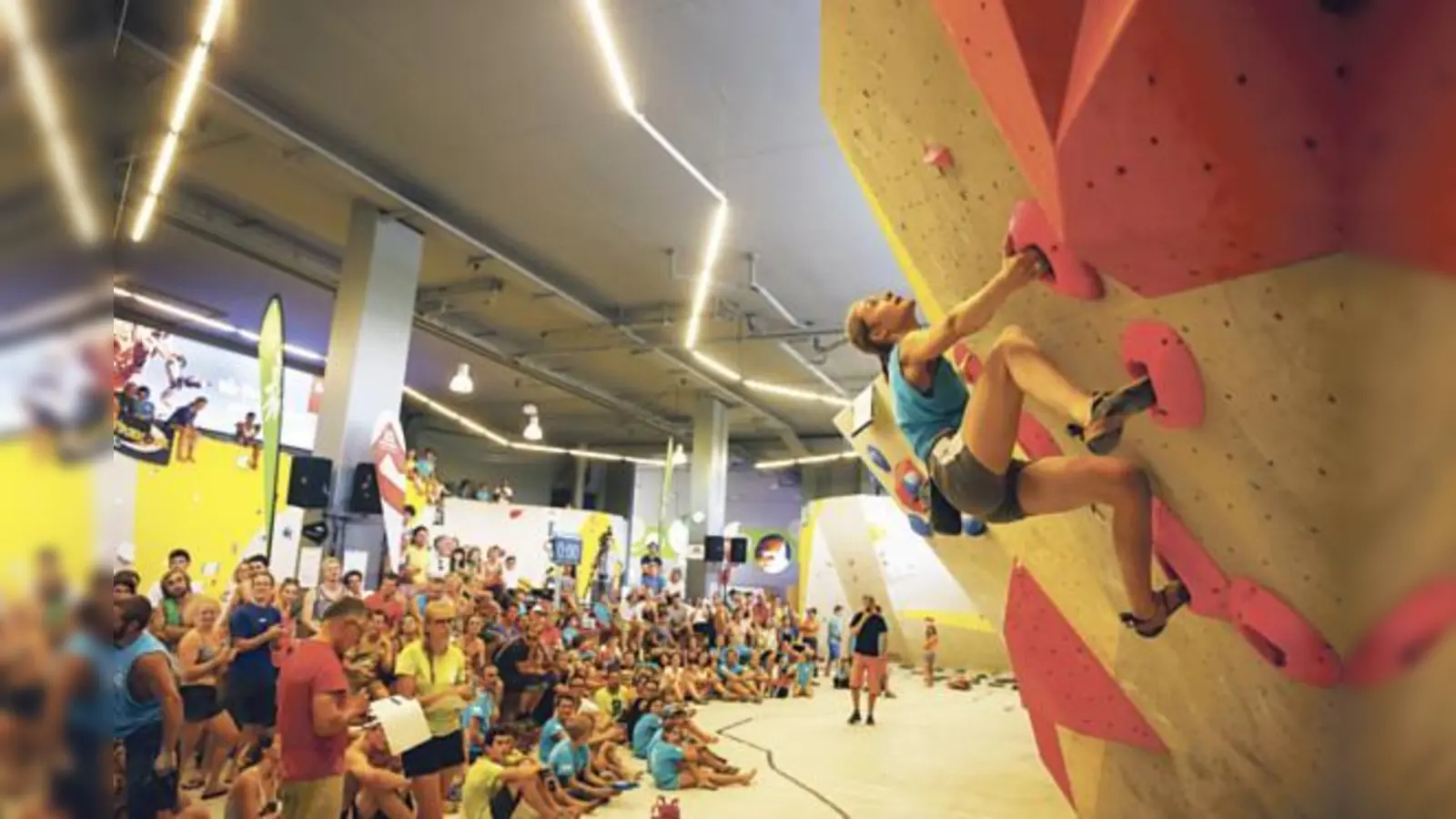 In der DAV Kletterhalle in München-Freimann trifft sich die Elite des Klettersports.	 (Foto: Marco Kost / DAV)