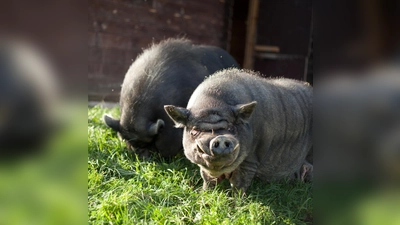 Foto: Sebastian Knop