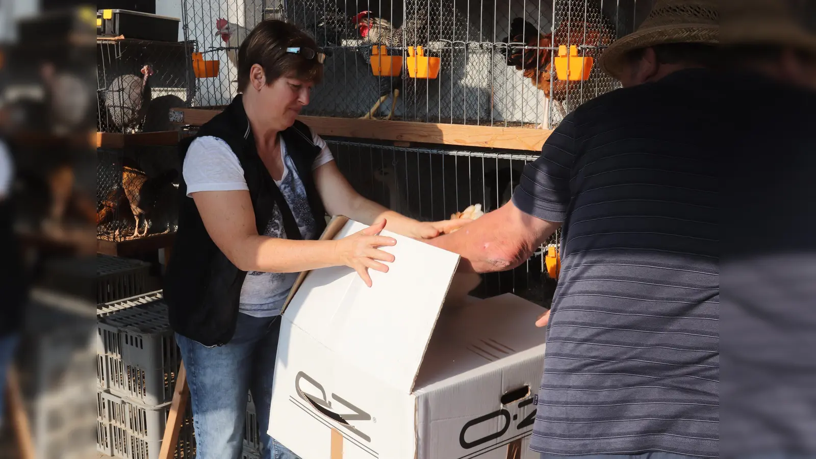 Fündig geworden! Resi Lachner, die frühere Ortsbäuerin aus der Volkmannsdorferau im Bayerischen Bauernverband, lässt sich ein paar neue Eierproduzenten einpacken.  (Foto: kw )