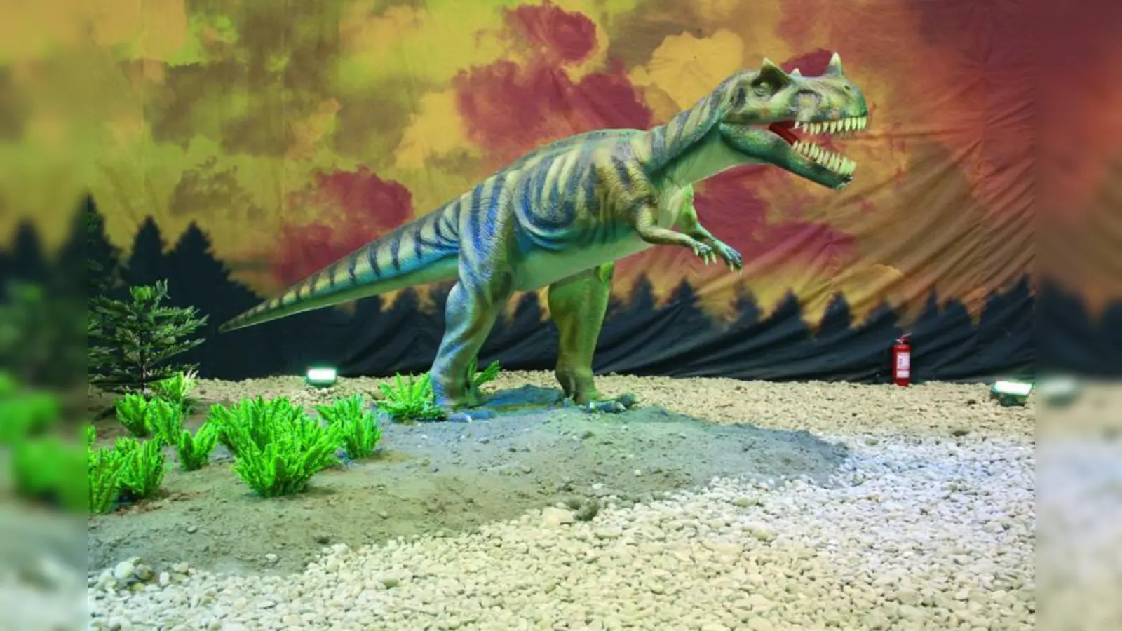 Dinosaurier wie der bis zu sechs Meter lange Ceratosaurus sind in „Dino – Die Ausstellung“ live zu erleben. (Foto: Veranstalter)