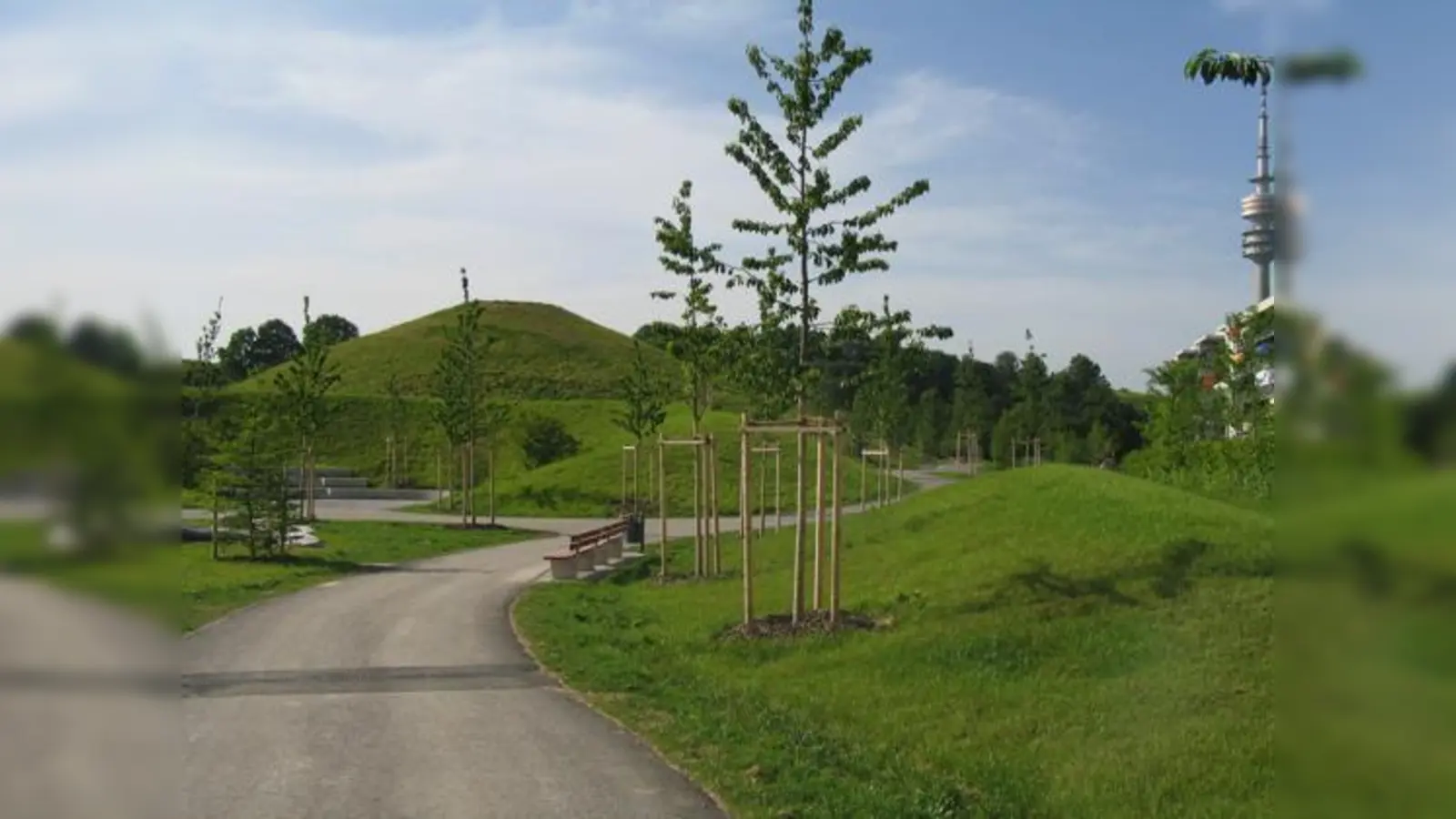 Grün modelliert wie die Grünanlagen Schwabing-West: Bei einer VHS-Führung gibt Historiker Willibald Karl Auskunft zum Thema.	 (Foto: VHS)