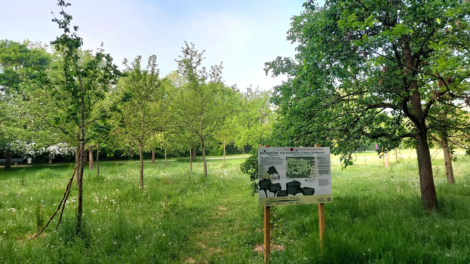 Am Michaelianger wächst auf einer Fläche von fast 2000 Quadratmetern ein urbaner Waldgarten heran. (Foto: bas)