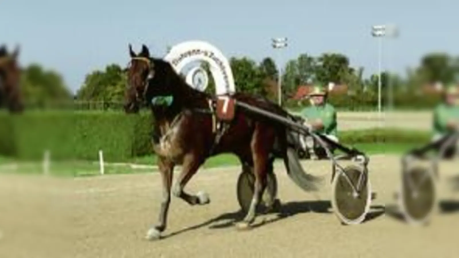 Marie Lindinger bei der  (Foto: H. Springer)