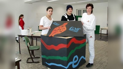 Gemeinsam mit Susanne Kiesewetter stellen hier Ömer Cakmak (links) und Elvedin Mujkanovic ihre toll mit einer Schlange gestaltete Thermo-Box vor – jetzt sind sie gespannt darauf, was bei der Untersuchung mit der Wärmekamera herauskommt. (Foto: Eva Schraft)