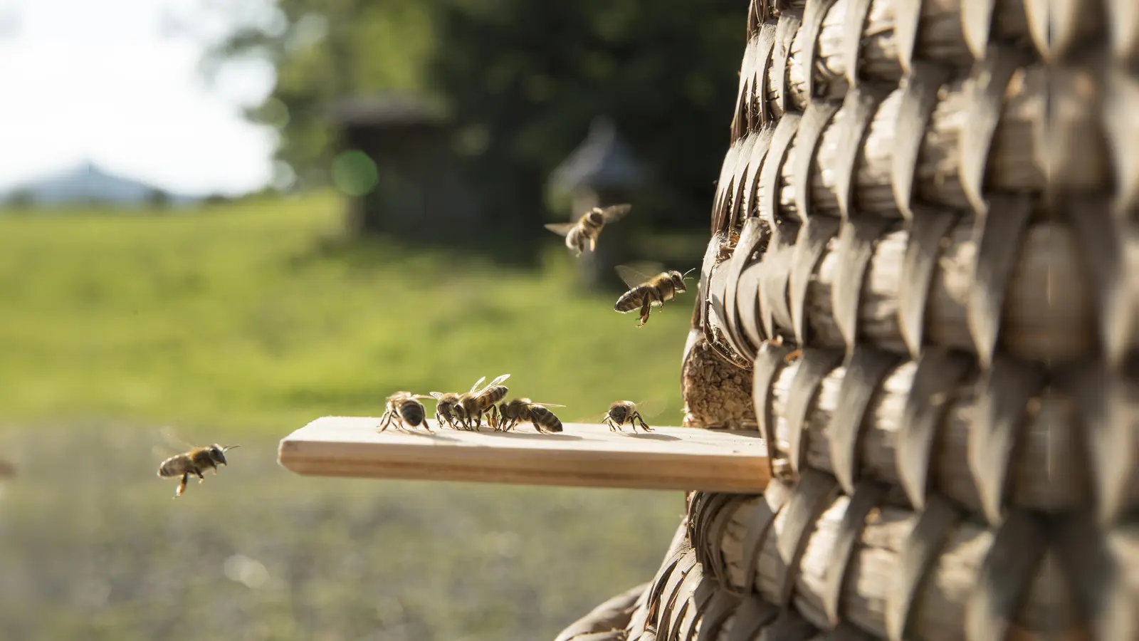 Nach dem Rennen entspannt den Tag im Biergarten ausklinen lassen. (Foto: Markus Wasmeier)