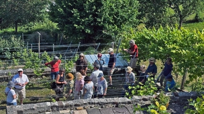 Mehr als 30 Mitglieder des Verschönerungs- und Gartenbauvereins nahmen an der ersten Weinbergbegehung in Ebersberg teil. (Foto: Ruopp)