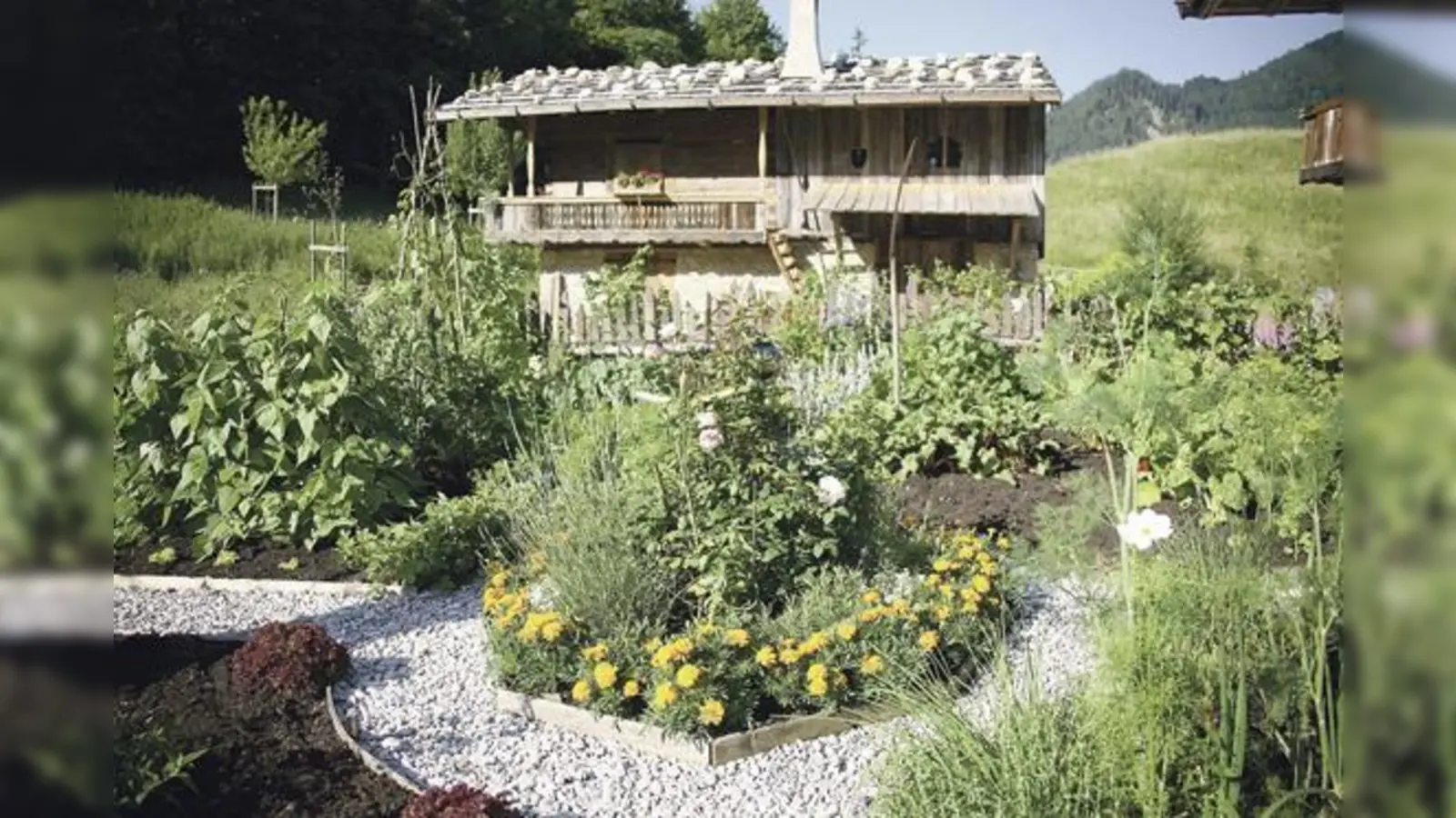 Bauerngartentage vom 7. bis 9. Juli 2017 im altbayerischen Dorf. Sie können die  bunte Vielfalt bestaunen, den Duft einzelner Kräuter riechen oder sich einfach nur daran erfreuen.  	 (Foto: Markus Wasmeier Freilichtmuseum)