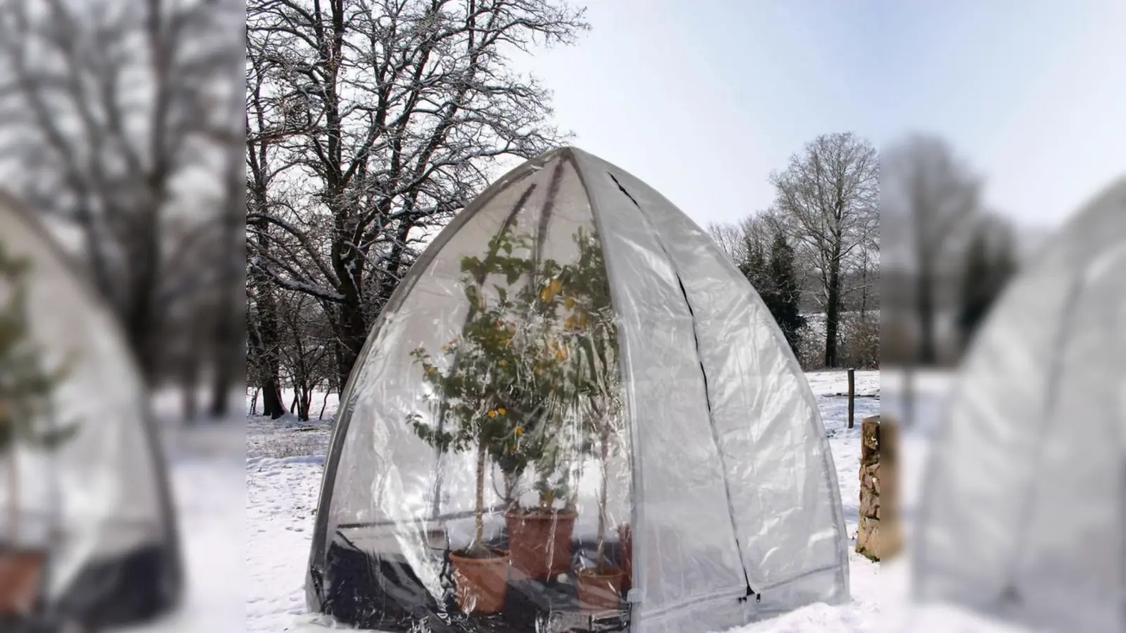 Die doppelte Schutzfolie eines „Florino” sorgt für die frostsichere, aber tageslichthelle Unterbringung von kostbaren Kübelpflanzen im winterlichen Garten. (Foto: djd/Engelbert Kötter)