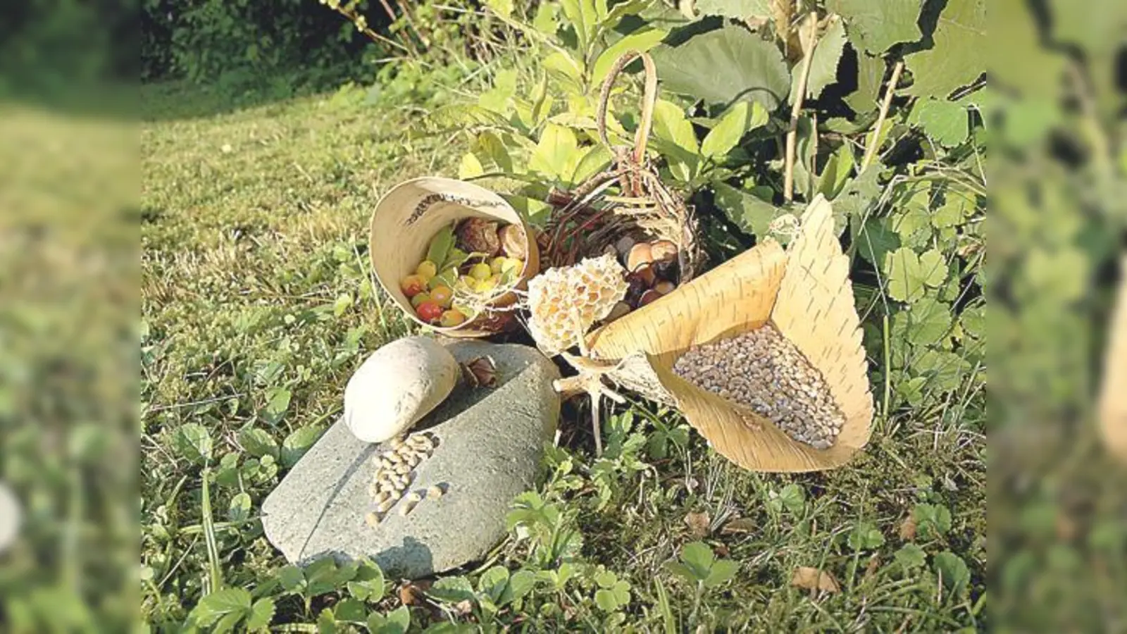 Wie die ersten Menschen in der Steinzeit sammeln Aktionsteilnehmer ihre Nahrung im Wald. 	 (Foto: VA)