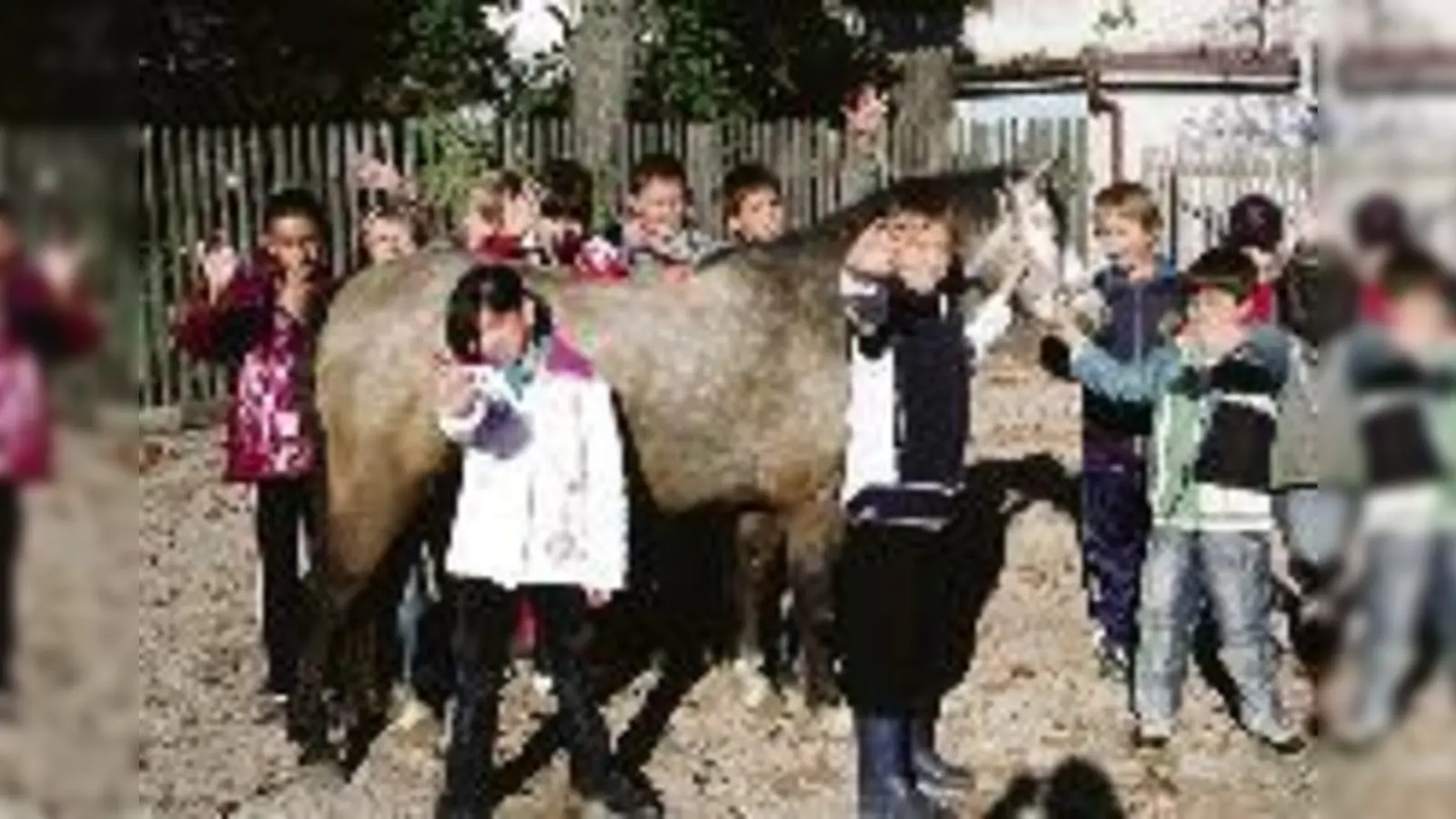 Seit ein paar Wochen dürfen 15 Kinder der Grundschule an der Knappertsbuschstraße einmal pro Woche an einem innovativem Sportförderunterricht teilnehmen: »Bewegen mit und auf dem Pferd«. 	 (Foto: Privat)