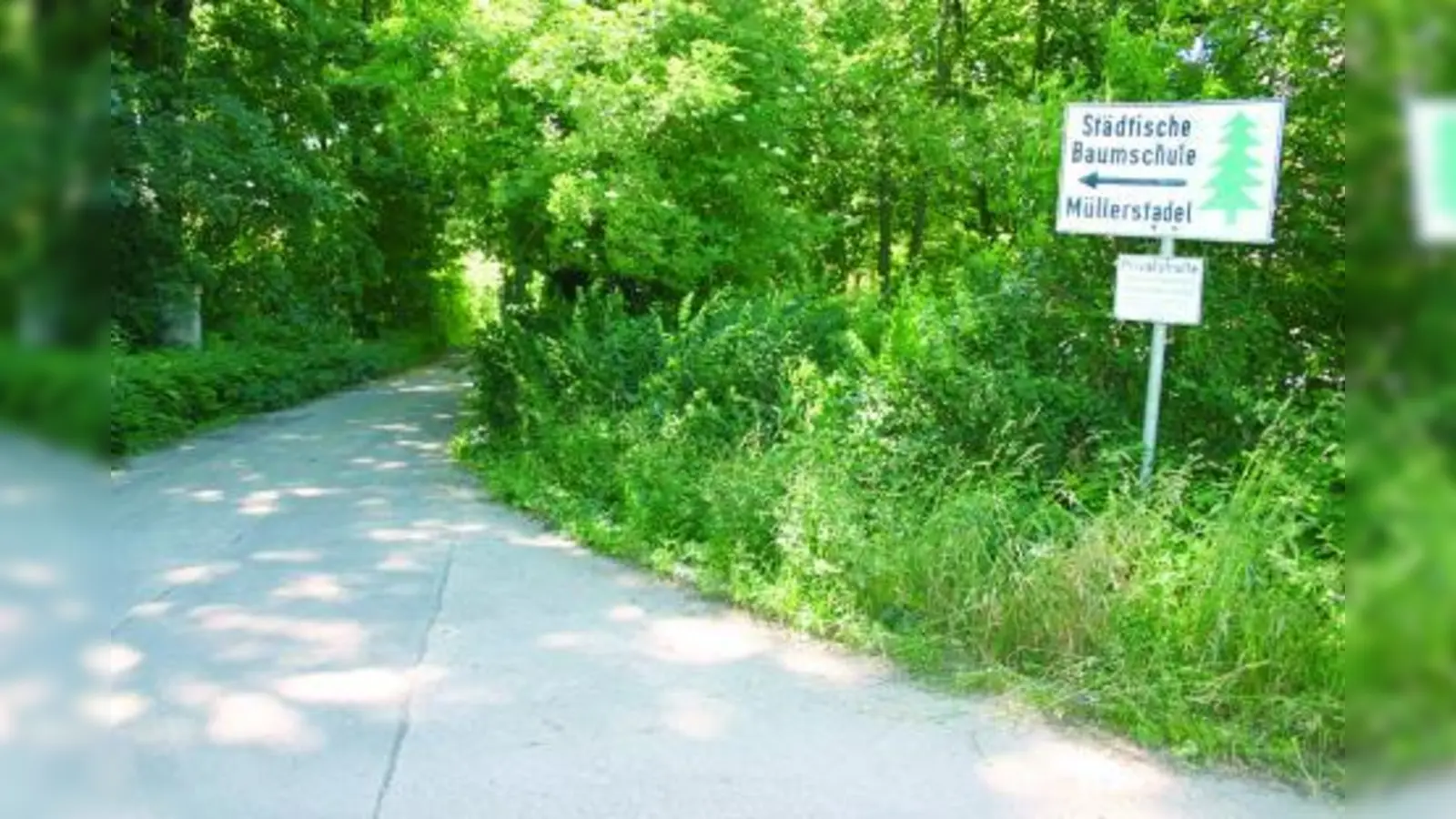Der Allach-Untermenzinger Bezirksausschuss hatte beantragt, den Weg durch die Baumschule Müllerstadel als Radweg zu den Langwieder Seen zu öffnen. (Foto: ls)