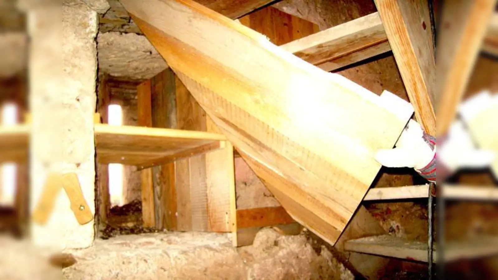 Der Kirchturm von Sankt Gallus in Steinhöring beherbergt nun Unterkünfte für Dohlen. 	 (Foto: LBV)